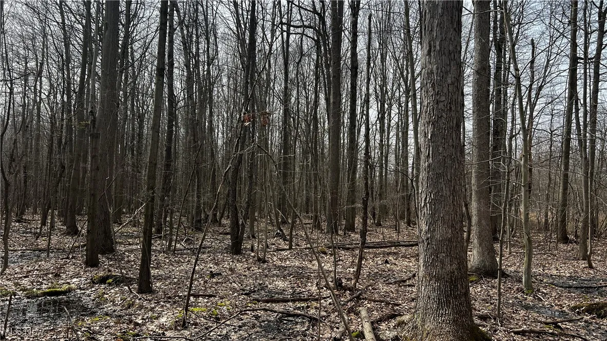 3222 Black Sea Road, Dorset, Ohio,MLS Now Listing ID