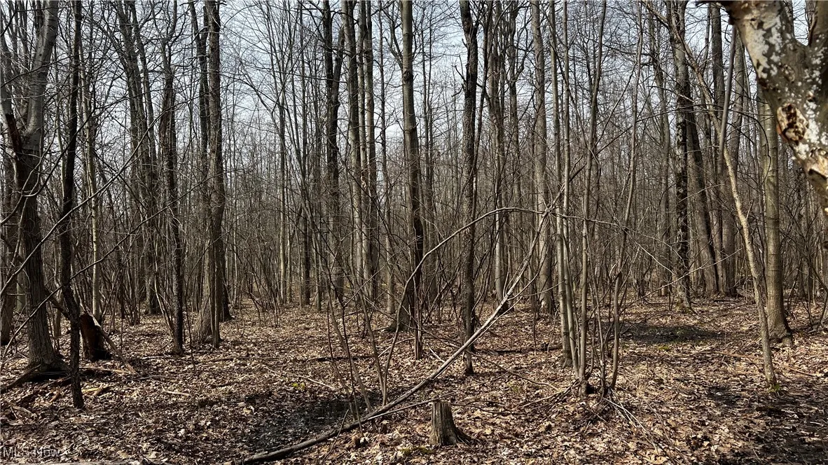 3222 Black Sea Road, Dorset, Ohio,MLS Now Listing ID
