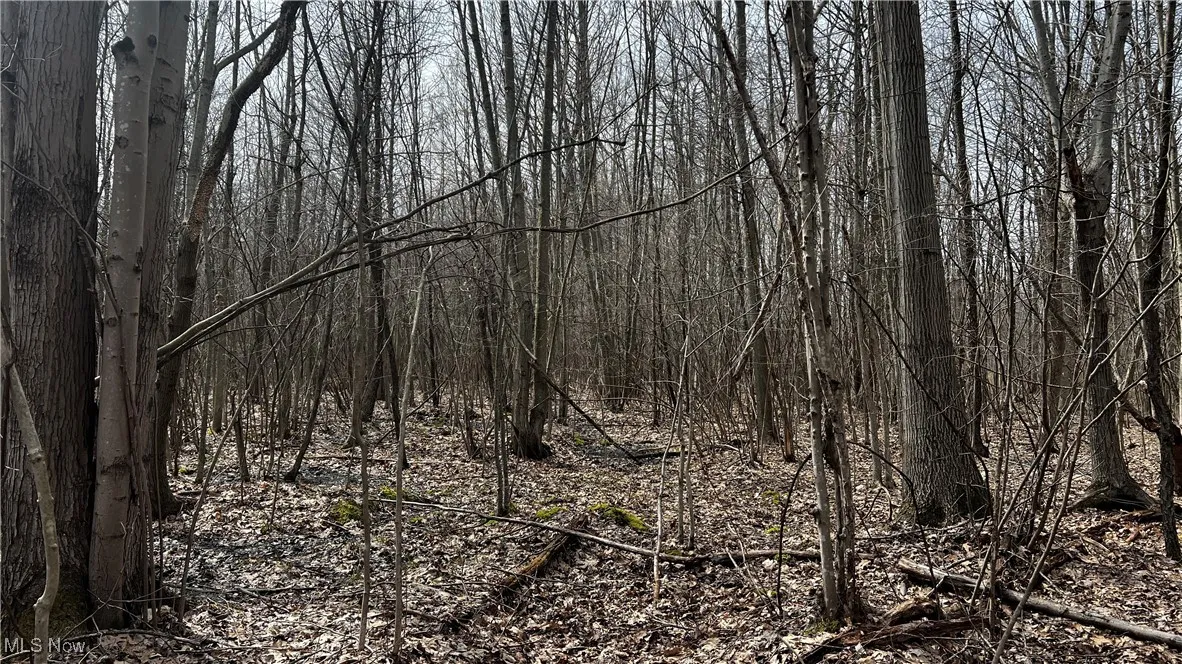 3222 Black Sea Road, Dorset, Ohio,MLS Now Listing ID