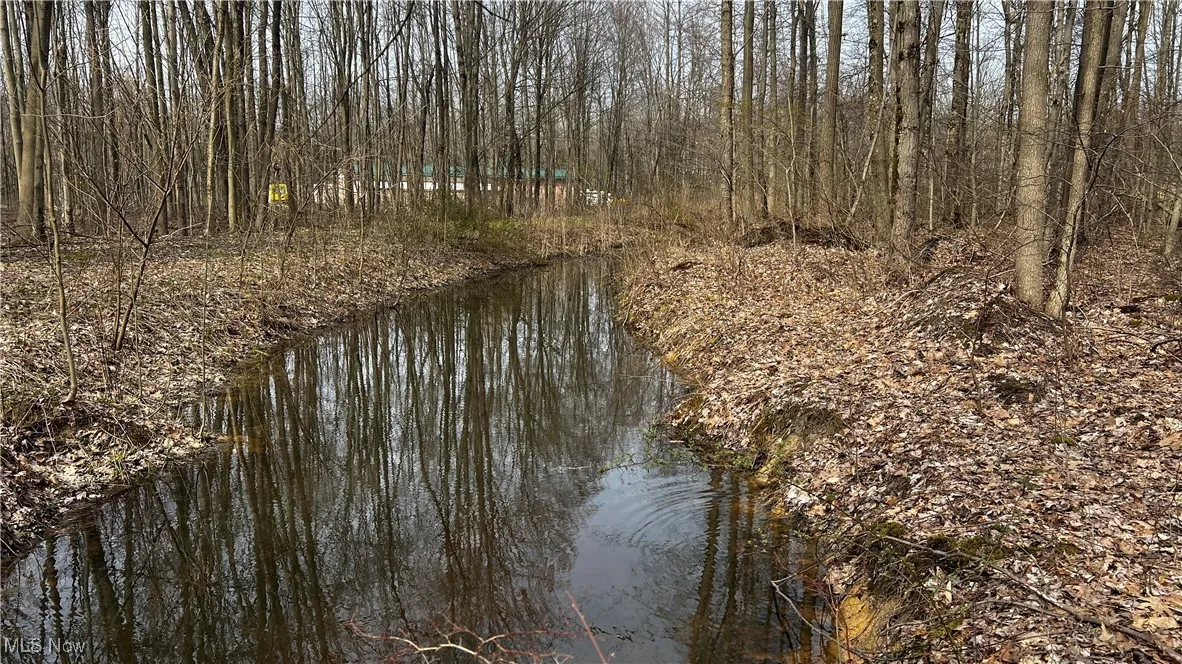 3222 Black Sea Road, Dorset, Ohio,MLS Now Listing ID
