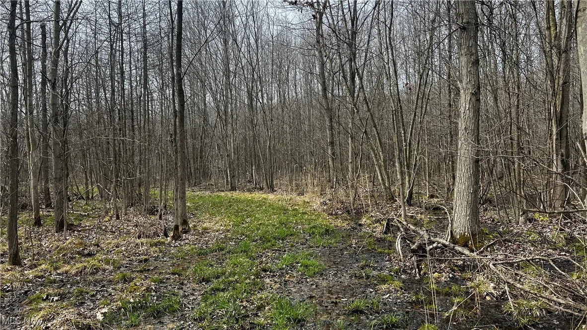 3222 Black Sea Road, Dorset, Ohio,MLS Now Listing ID