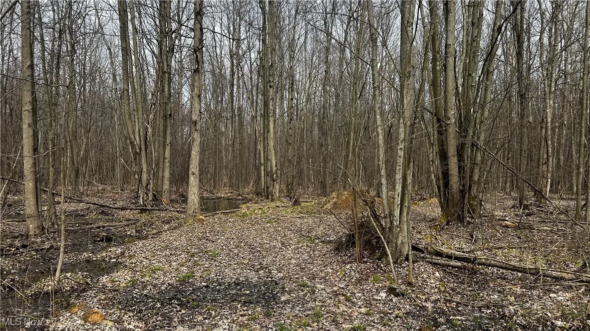 3222 Black Sea Road, Dorset, Ohio,MLS Now Listing ID