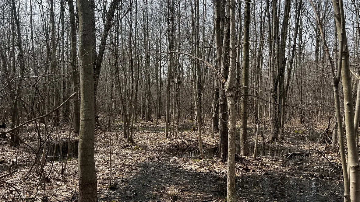3222 Black Sea Road, Dorset, Ohio,MLS Now Listing ID