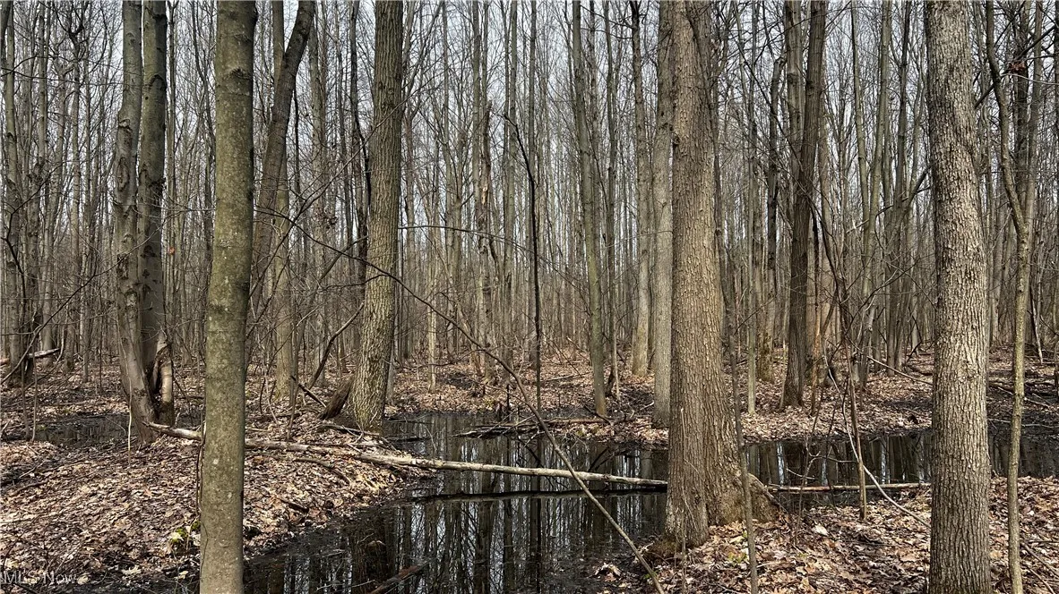 3222 Black Sea Road, Dorset, Ohio,MLS Now Listing ID