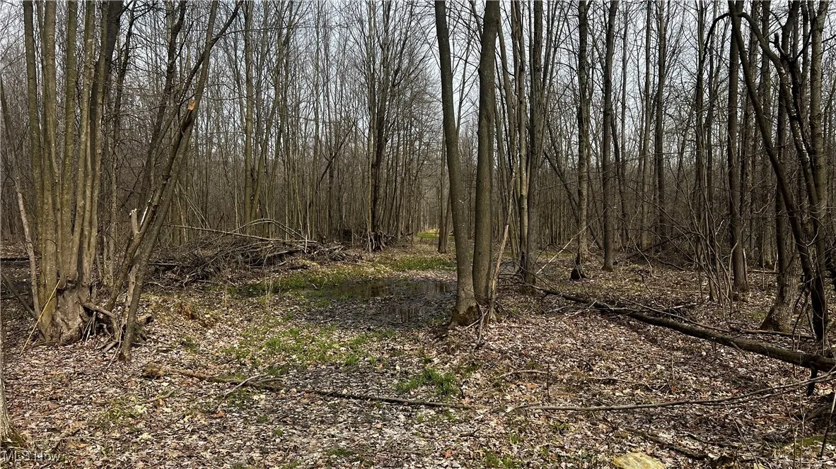 3222 Black Sea Road, Dorset, Ohio,MLS Now Listing ID