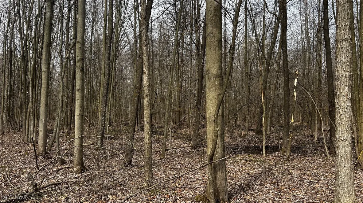 3222 Black Sea Road, Dorset, Ohio,MLS Now Listing ID