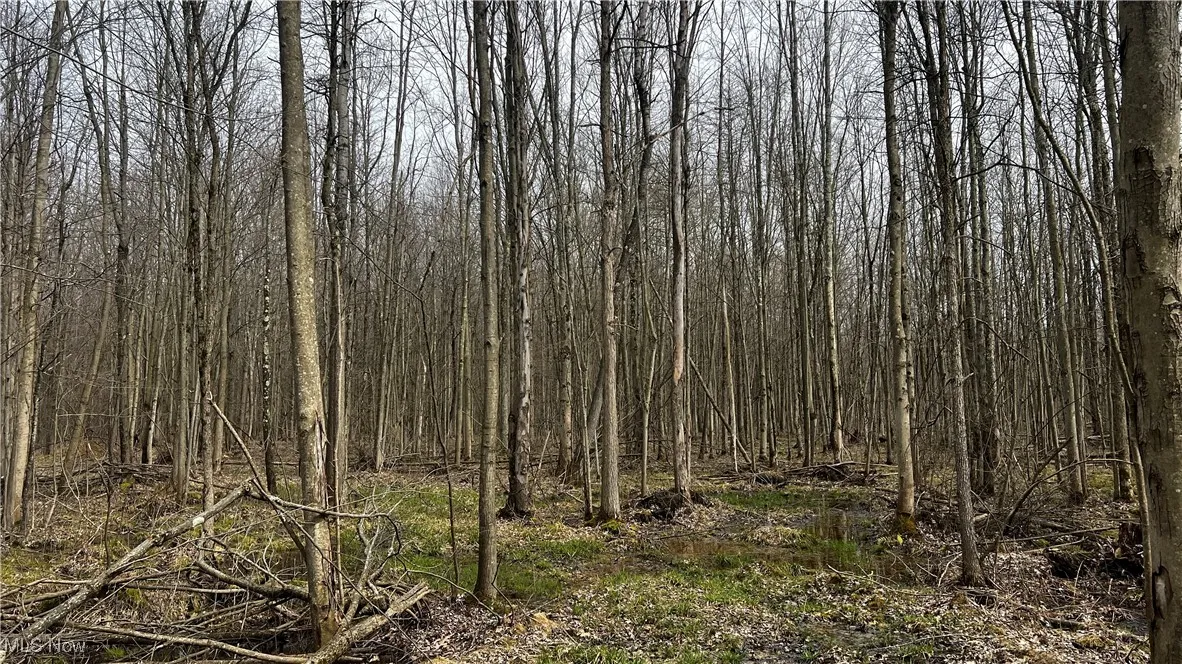 3222 Black Sea Road, Dorset, Ohio,MLS Now Listing ID