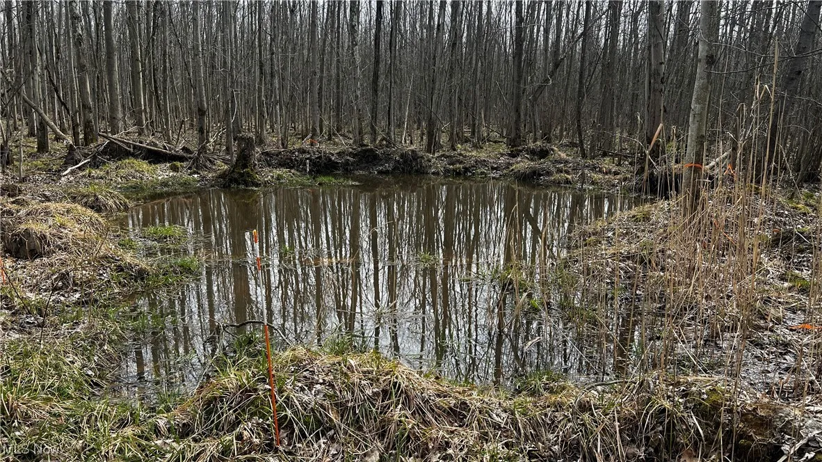 3222 Black Sea Road, Dorset, Ohio,MLS Now Listing ID