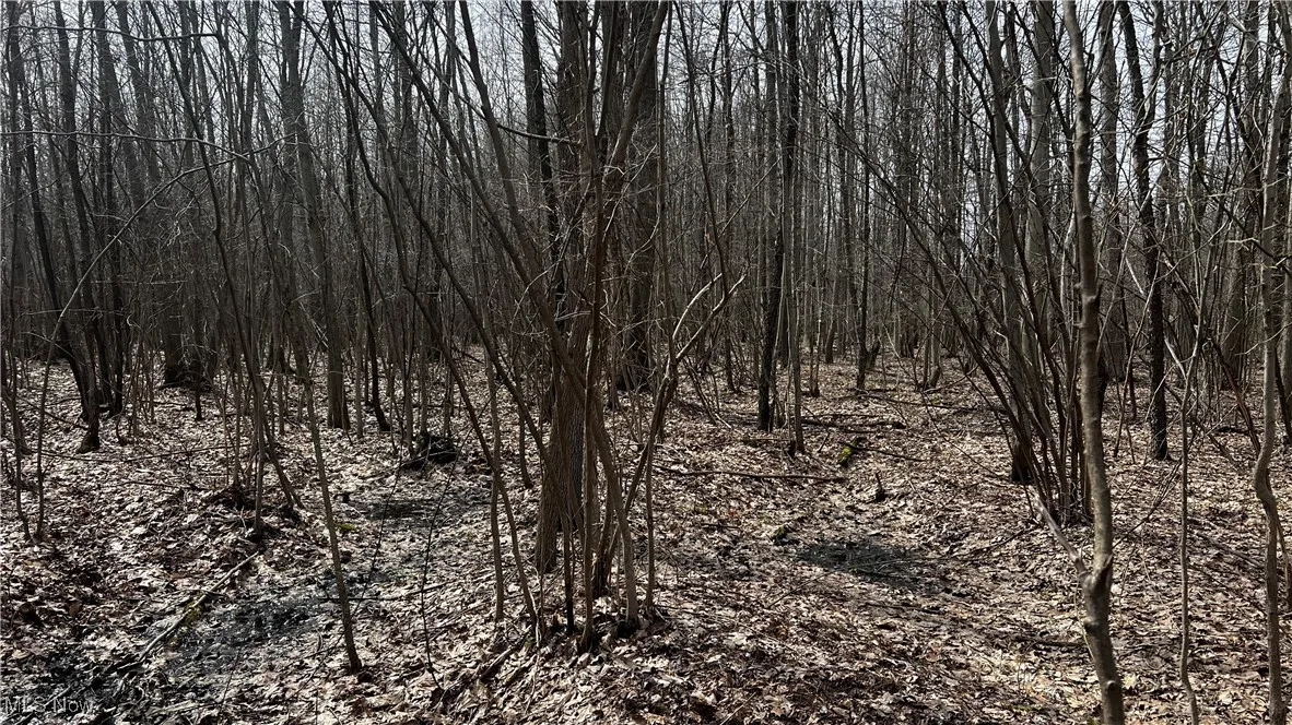 3222 Black Sea Road, Dorset, Ohio,MLS Now Listing ID