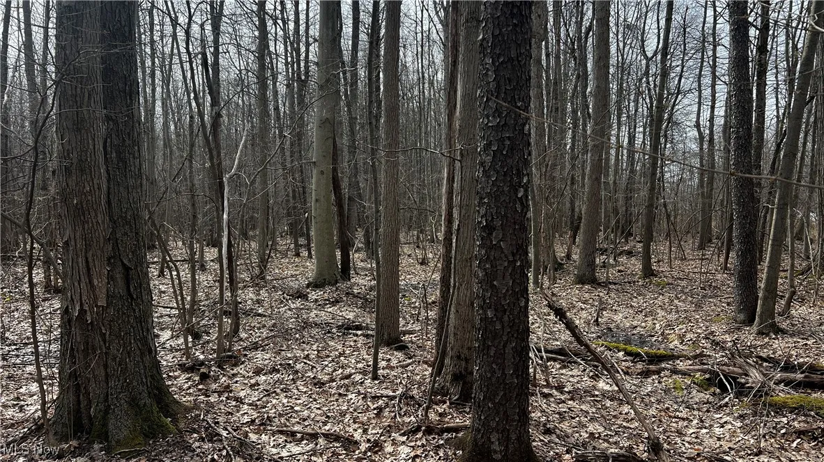 3222 Black Sea Road, Dorset, Ohio,MLS Now Listing ID