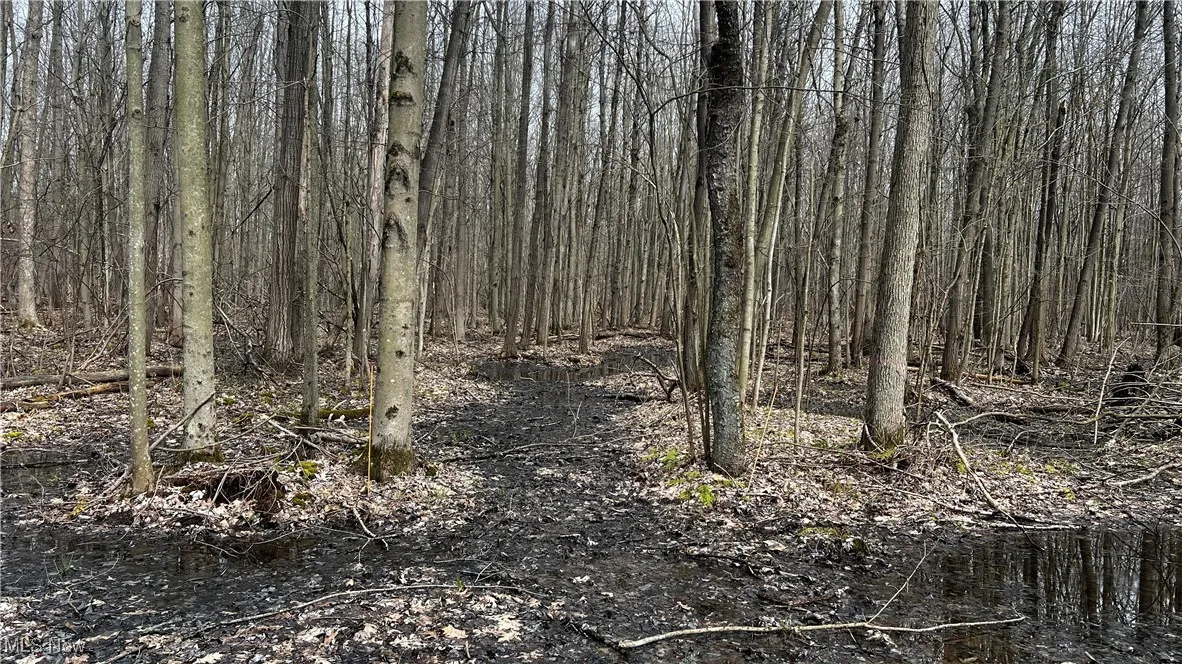 3222 Black Sea Road, Dorset, Ohio,MLS Now Listing ID