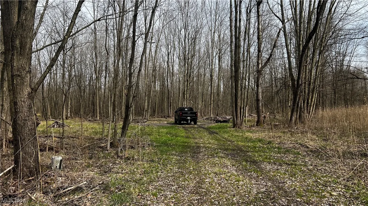 3222 Black Sea Road, Dorset, Ohio,MLS Now Listing ID