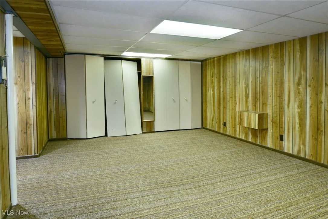 Finished below grade area featuring wooden walls, carpet, and a drop ceiling