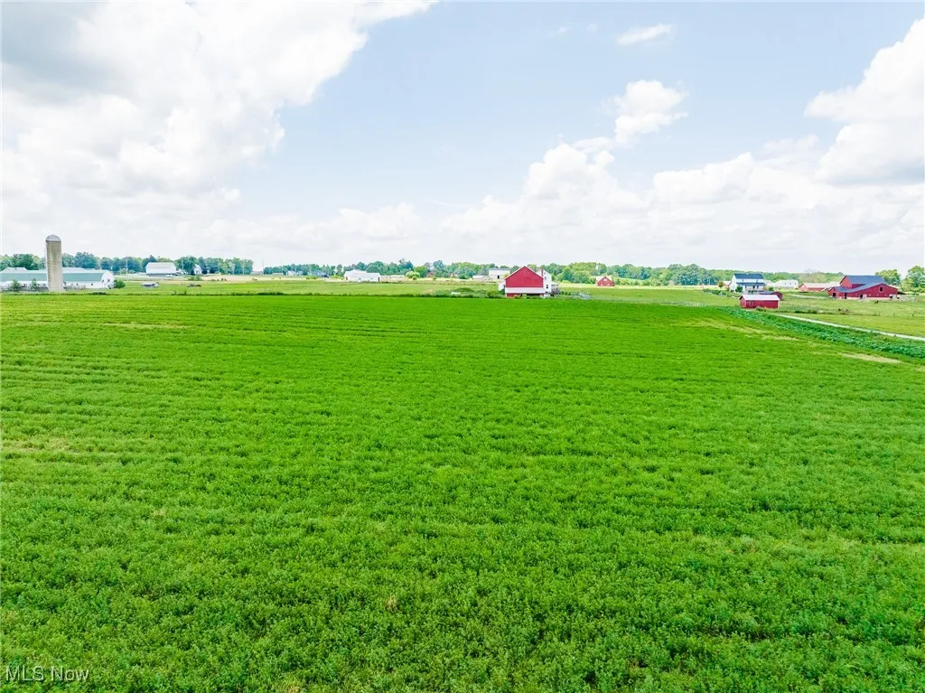 View of grassy yard with a view of rural / pastoral area