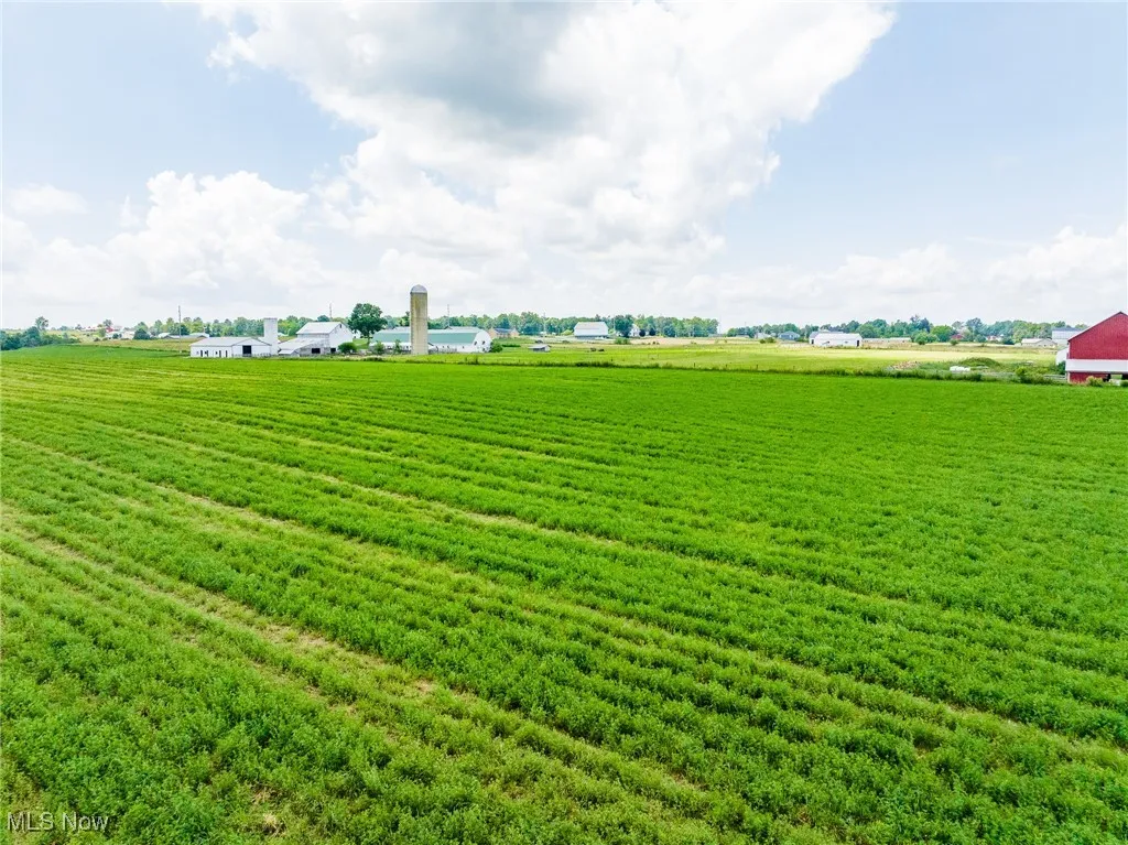 View of green lawn with a rural view
