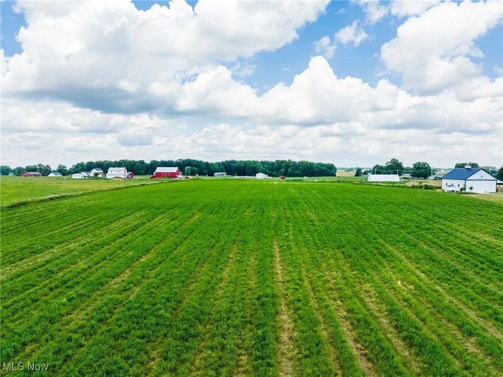 View of yard with a view of rural / pastoral area and agricultural plots