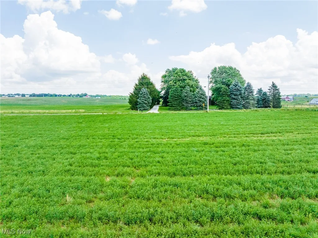 View of grassy yard with a rural view