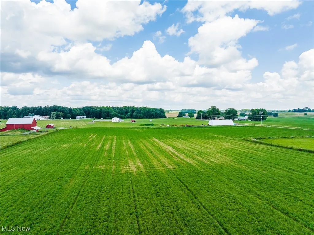 View of green lawn with a rural view