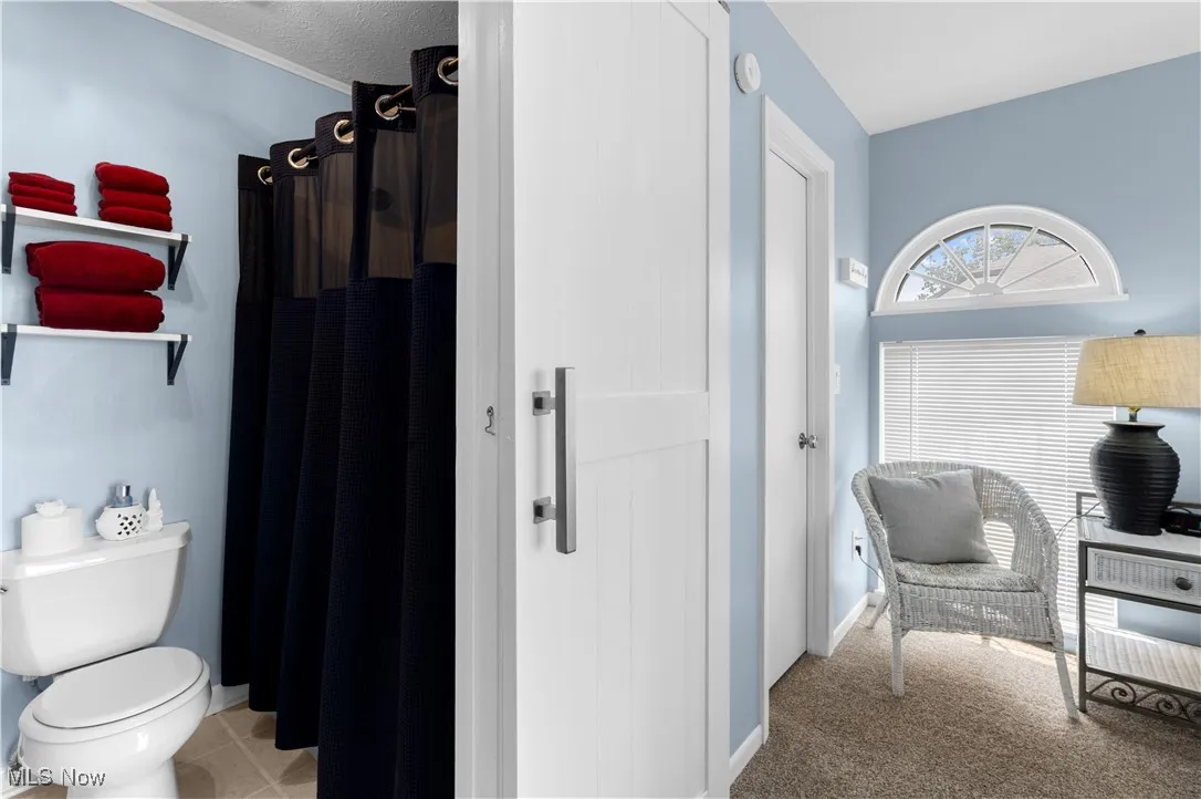 Bathroom with toilet and a shower with shower curtain