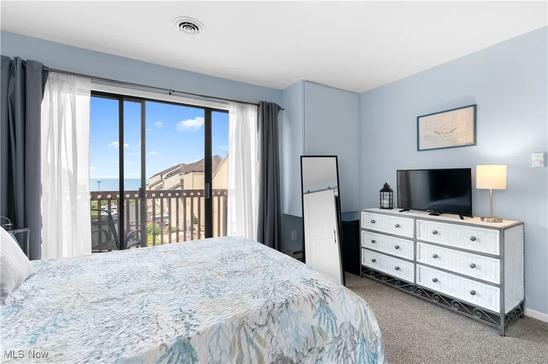 Carpeted bedroom with access to outside and multiple windows