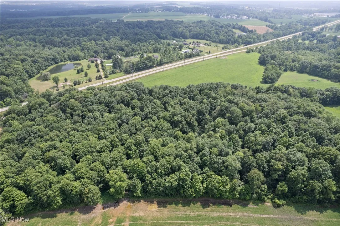 Overview of rural landscape featuring a forest