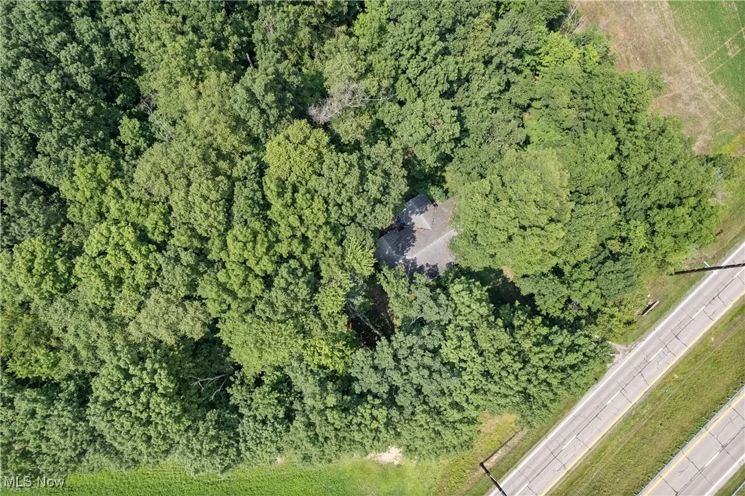 View of property location featuring a forest