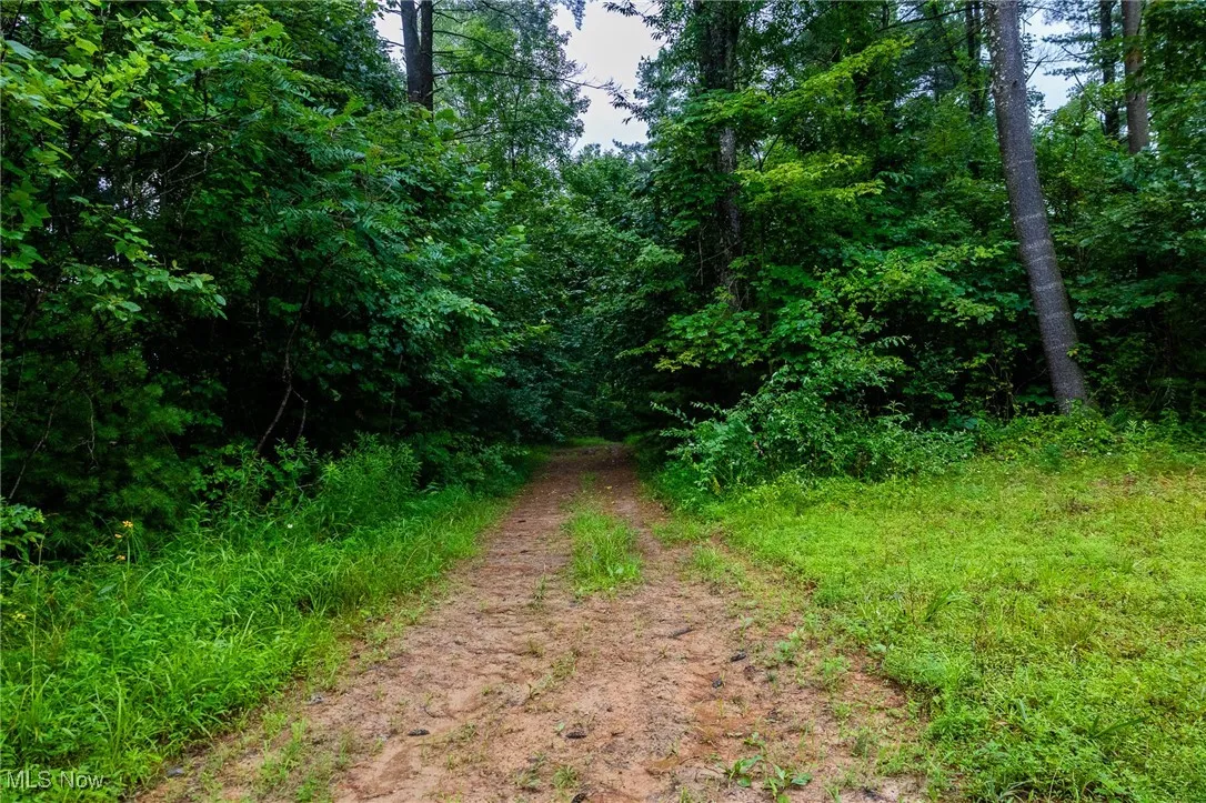 View of road featuring a wooded view