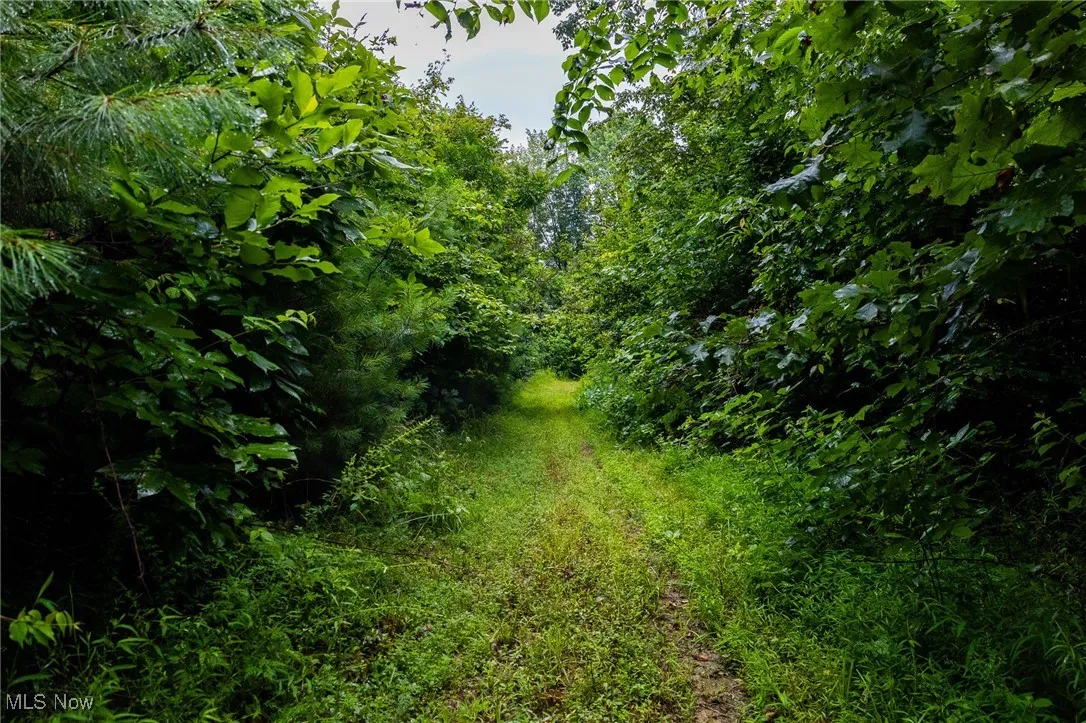 View of nature