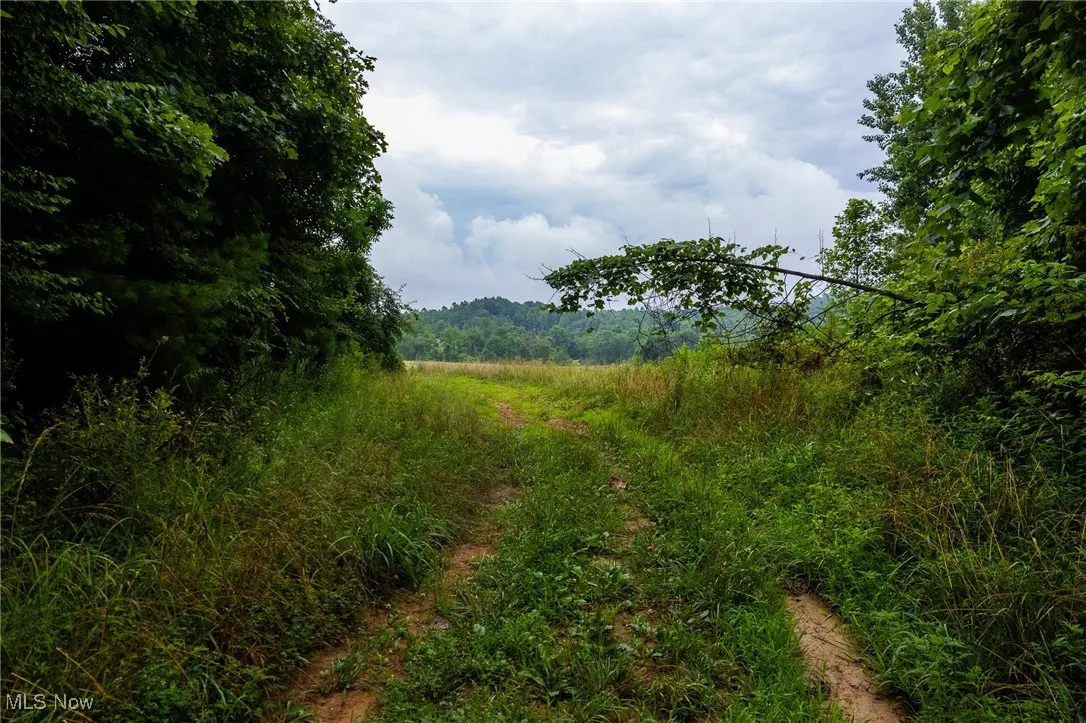 View of nature