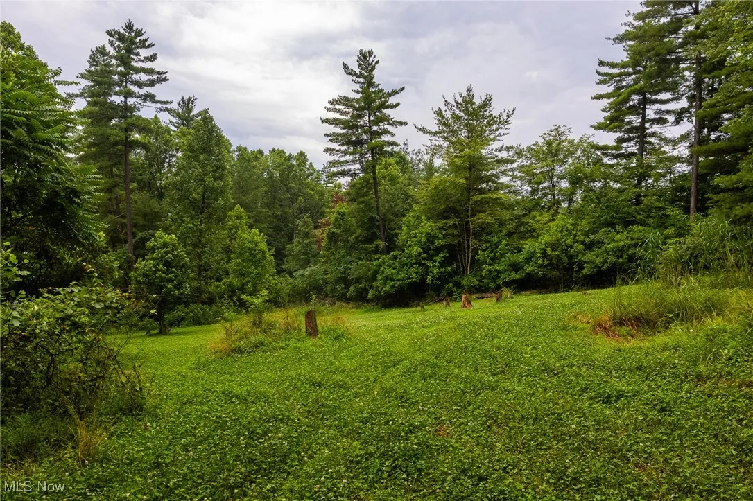 View of yard with a wooded view