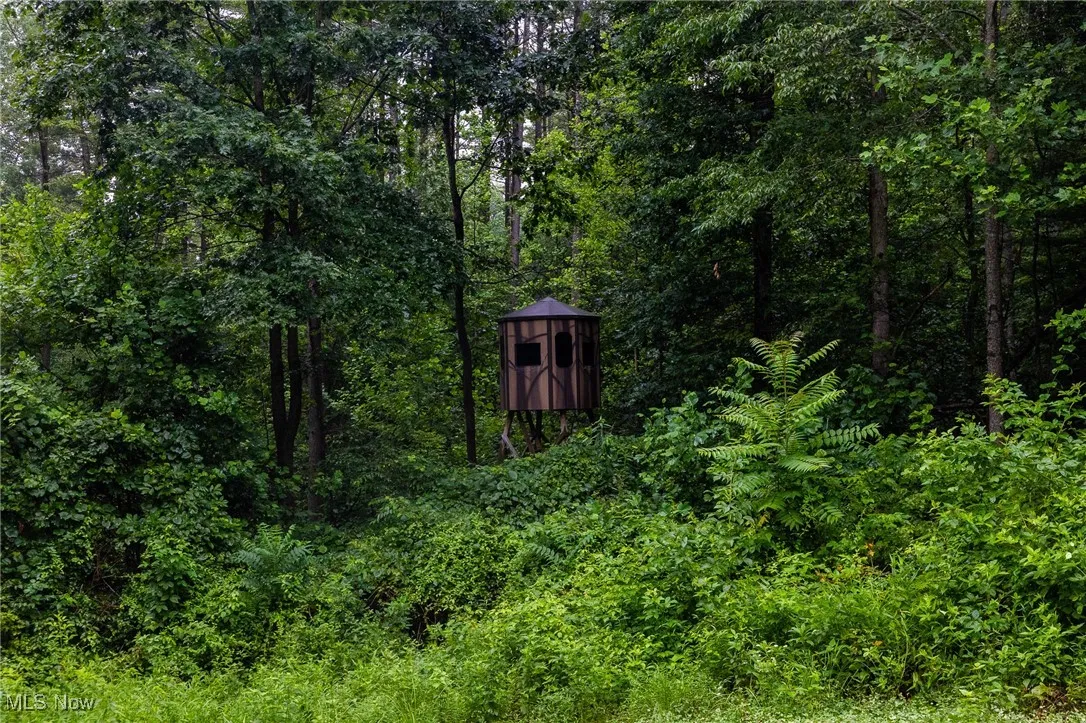 View of shed with a view of trees