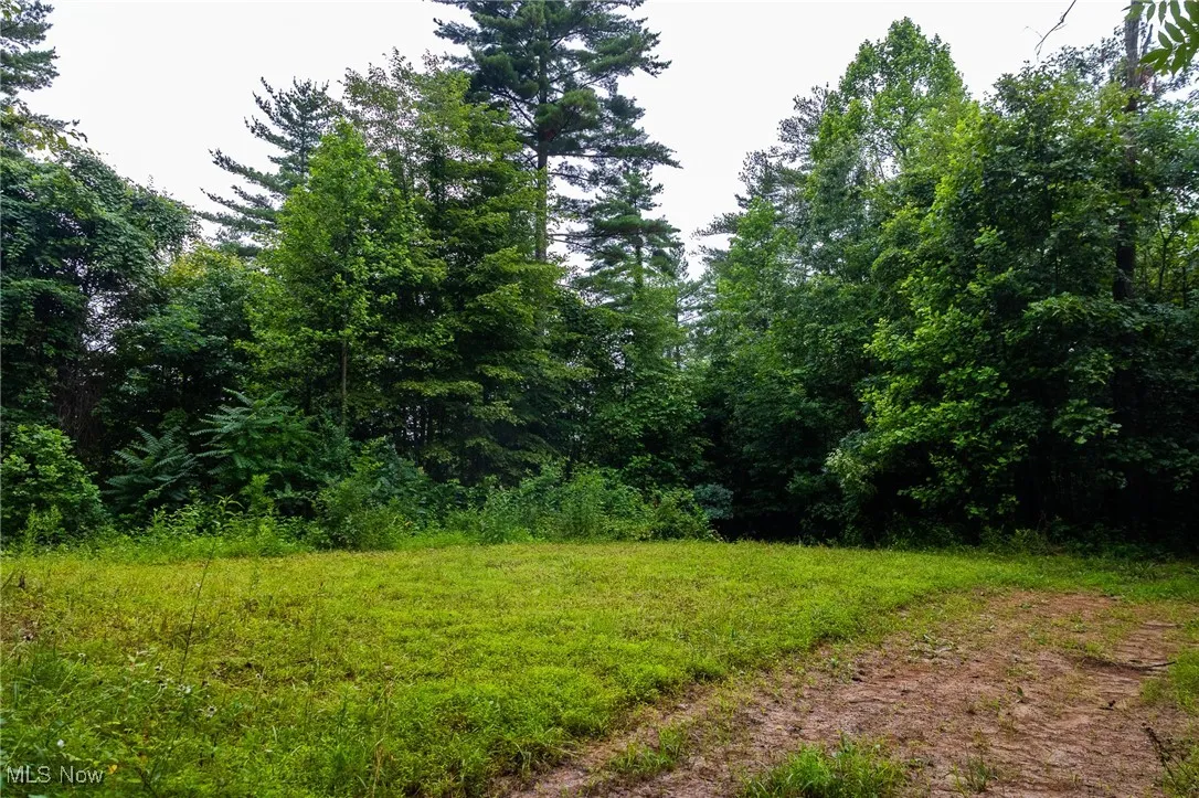 View of woods