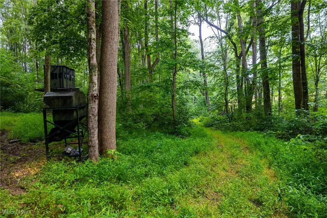 View of yard featuring a forest view