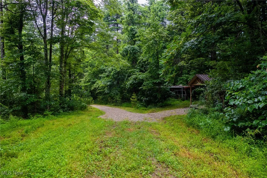 View of yard featuring driveway and a forest view