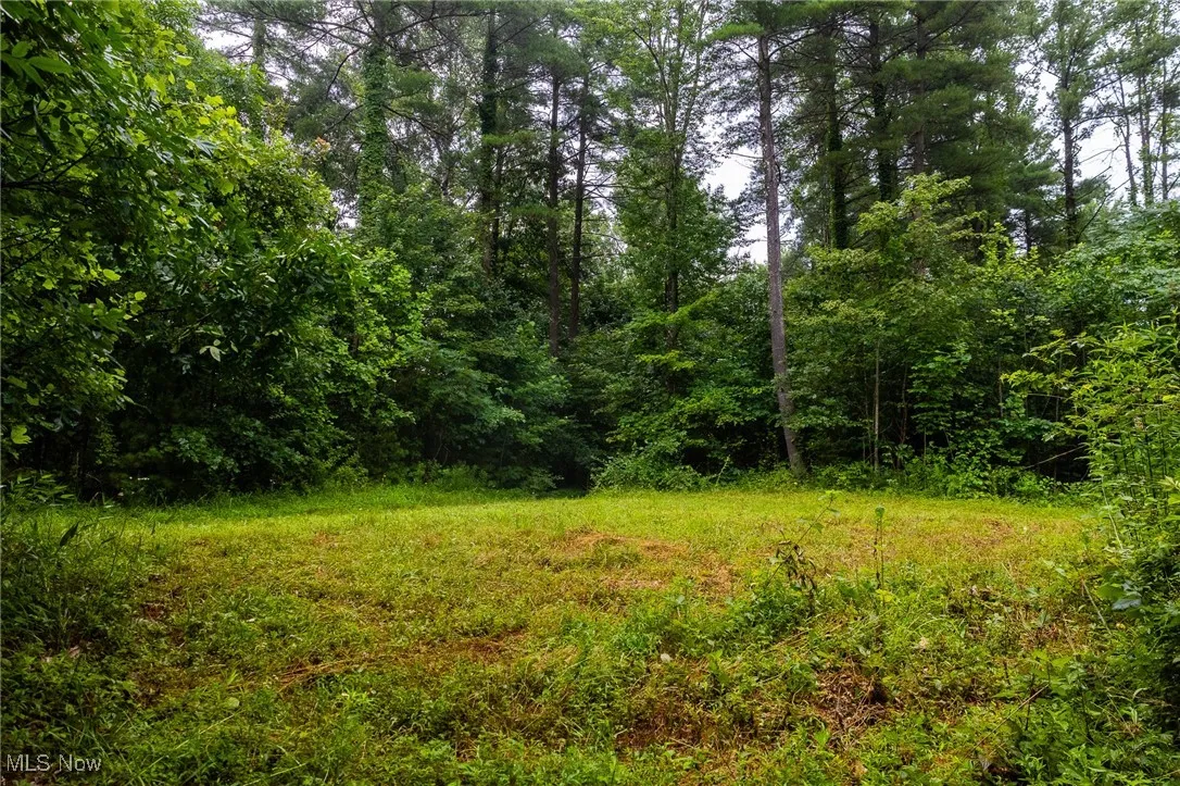 View of wooded area