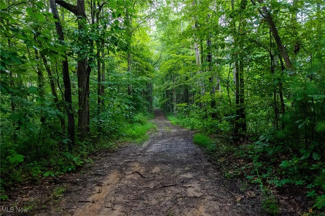 View of street featuring a view of trees