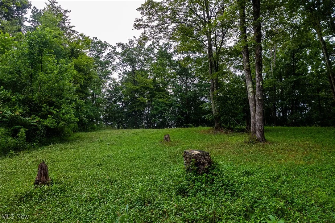 View of grassy yard