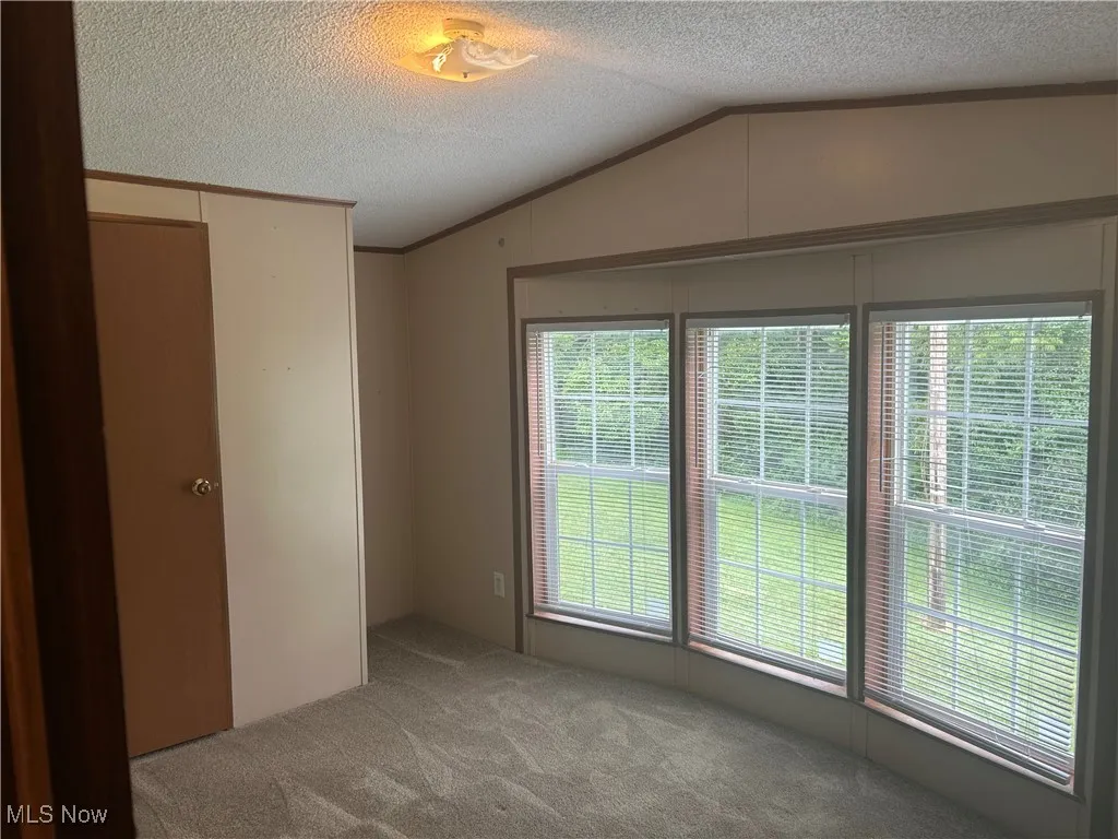 Empty room featuring lofted ceiling, carpet flooring, a textured ceiling, and crown molding