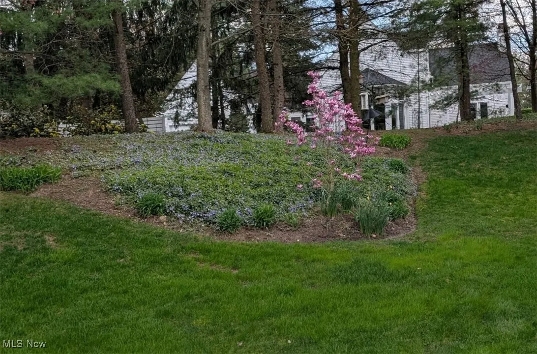View of grassy yard