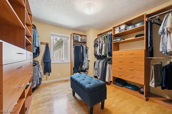 Spacious closet featuring light wood finished floors