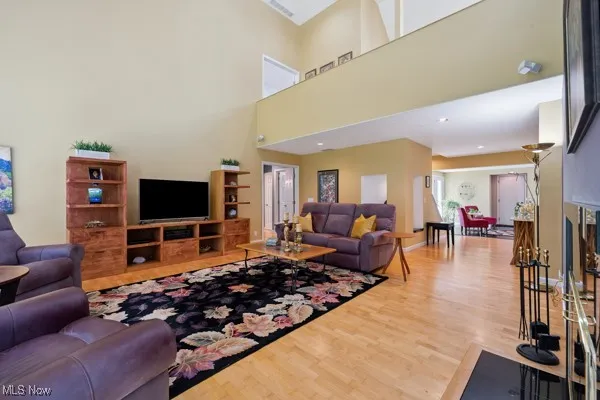 Living room featuring wood finished floors and a high ceiling