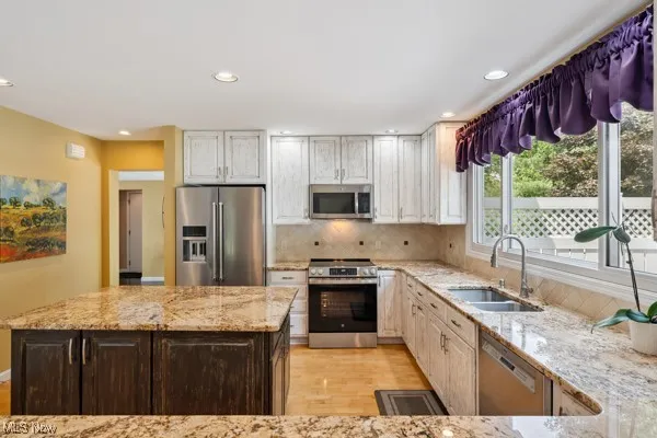 Kitchen with stainless steel appliances, light wood-type flooring, light stone counters, tasteful backsplash, and recessed lighting
