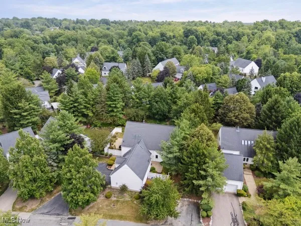 Aerial view of residential area with a forest