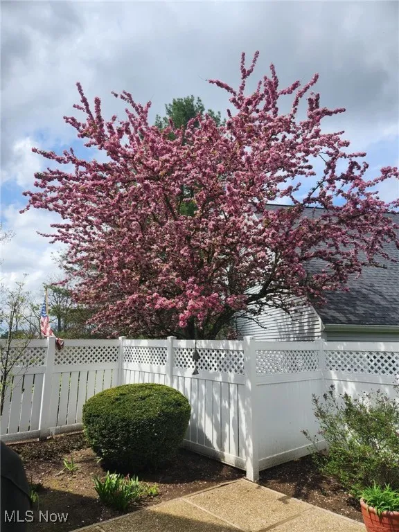 View of fenced backyard