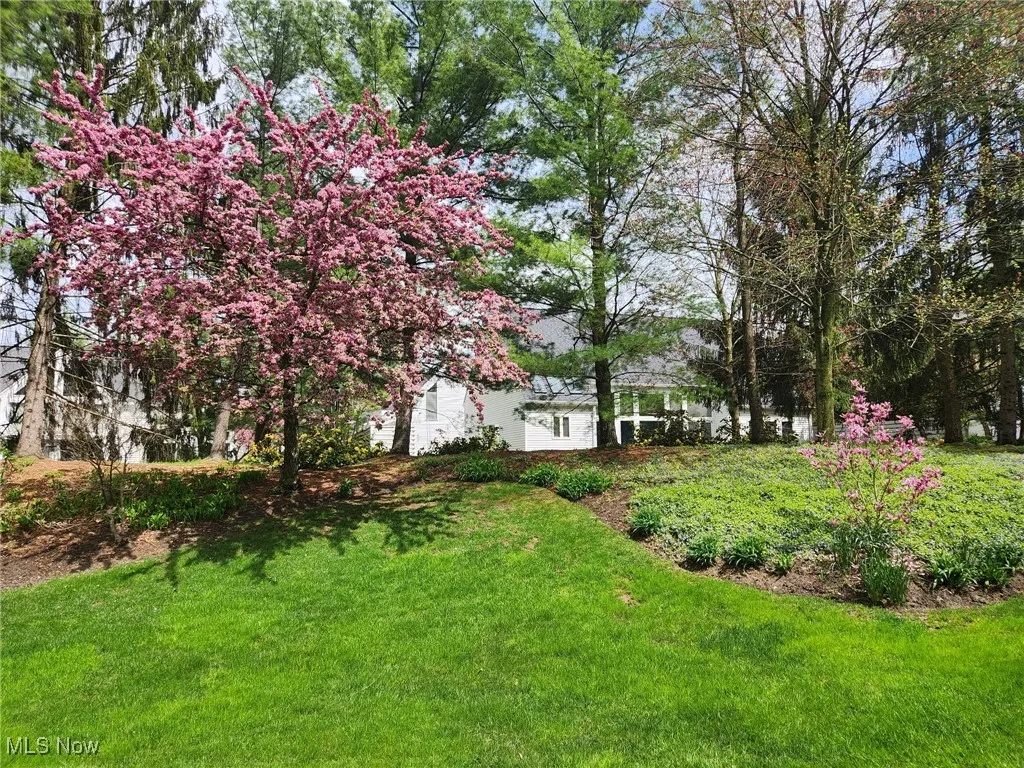View of green lawn