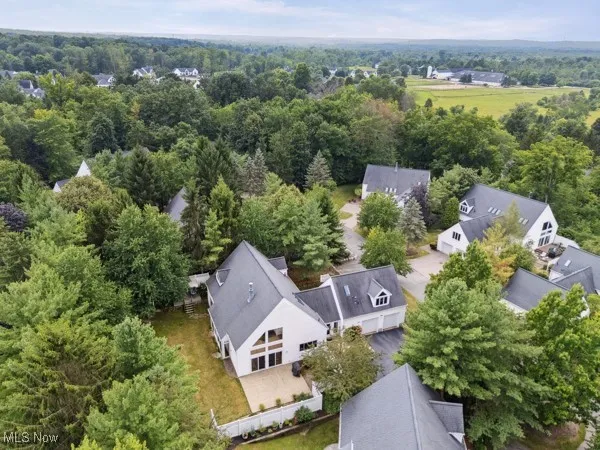 Bird's eye view of a forest