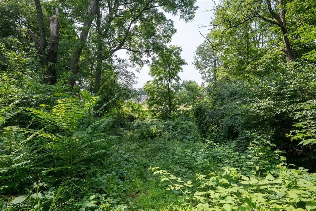 View of woods