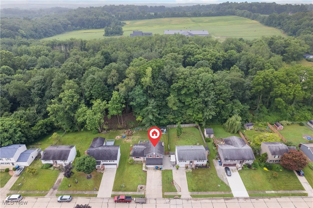 Aerial perspective of suburban area with a forest