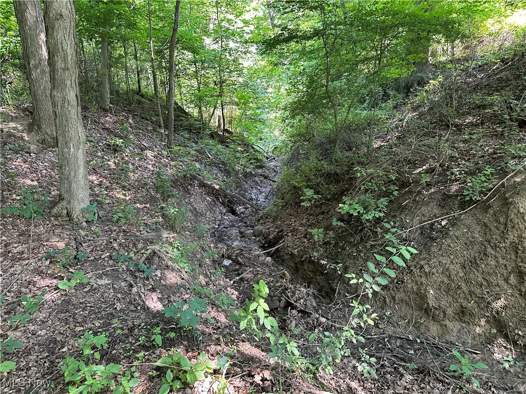 829 County Road 801, Ashland, Ohio,MLS Now Listing ID