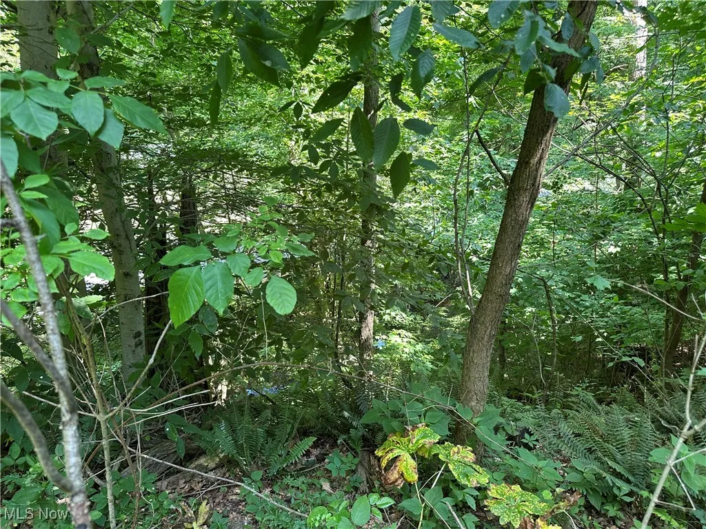 829 County Road 801, Ashland, Ohio,MLS Now Listing ID